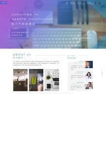 网站设计与软件开发 相辅相成的数字解决方案