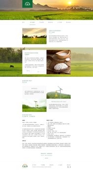 打造卓越体验 大家发食品网页设计与软件开发全攻略